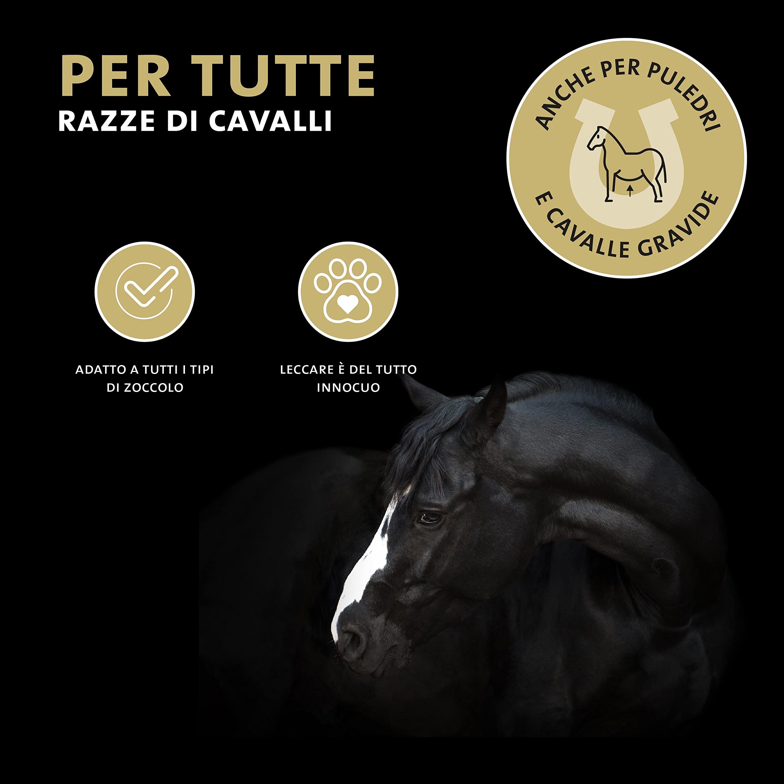 Peticare Cavallo Lozione Contro la Candidosi Equina - Trattamento Curativo per Cavalli, Combatte Il Marciume ed Mughetto nello Zoccolo - petHorse Health 2005