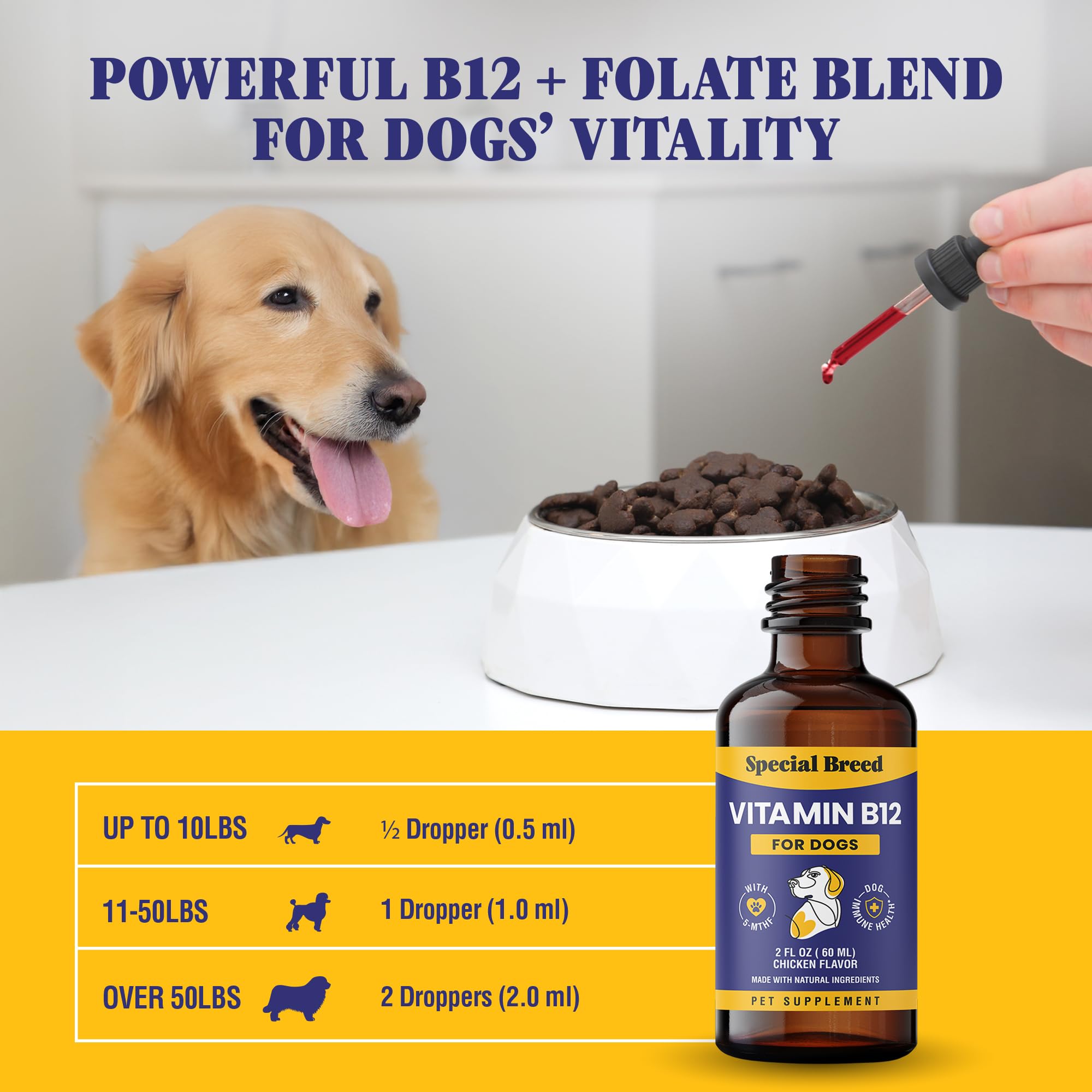 Special Breed Liquid Vitamin B12 for Dogs – Methylcobalamin and 5-MTHF – Boosts Energy, Appetite, Mood & Immune System Support, Easy-to-Use Dropper - Chicken Flavor, 2 fl oz — Amazon image 6