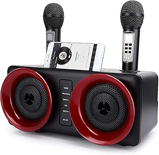 NGARY Family Karaoke Machine, Bluetooth Speaker With Double Wireless Microphone, Stereo Surround Sound Effect, One key to cancel the original sound, for Home Party Meeting Wedding Picnic