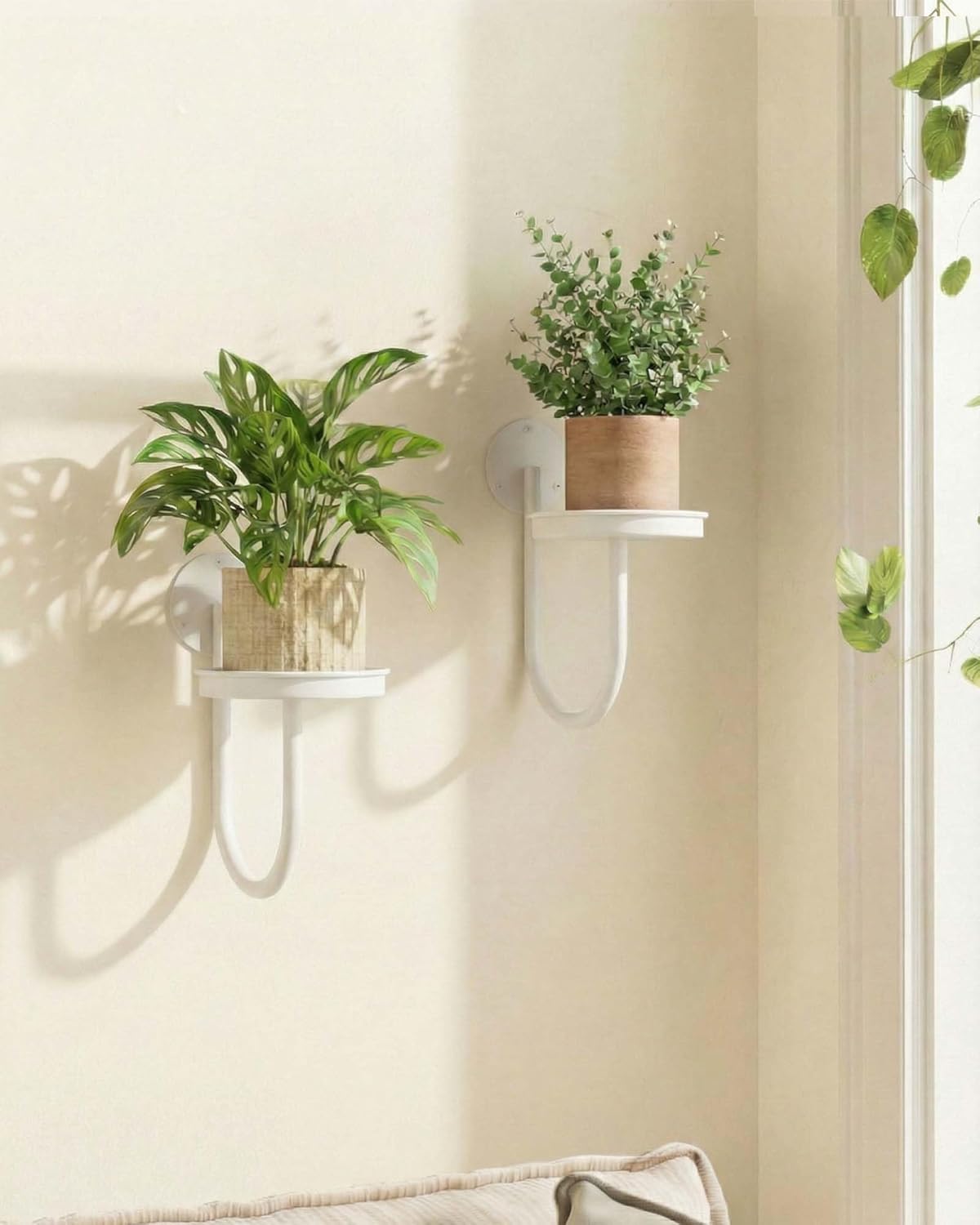 Leaf&lull Wall Plant Holder Plant Stand with Lights Wall Planters for Indoor Plants with Planter Plant Hanger Hanging Plant Holder Wall Hanging Decor 2 Pack Black