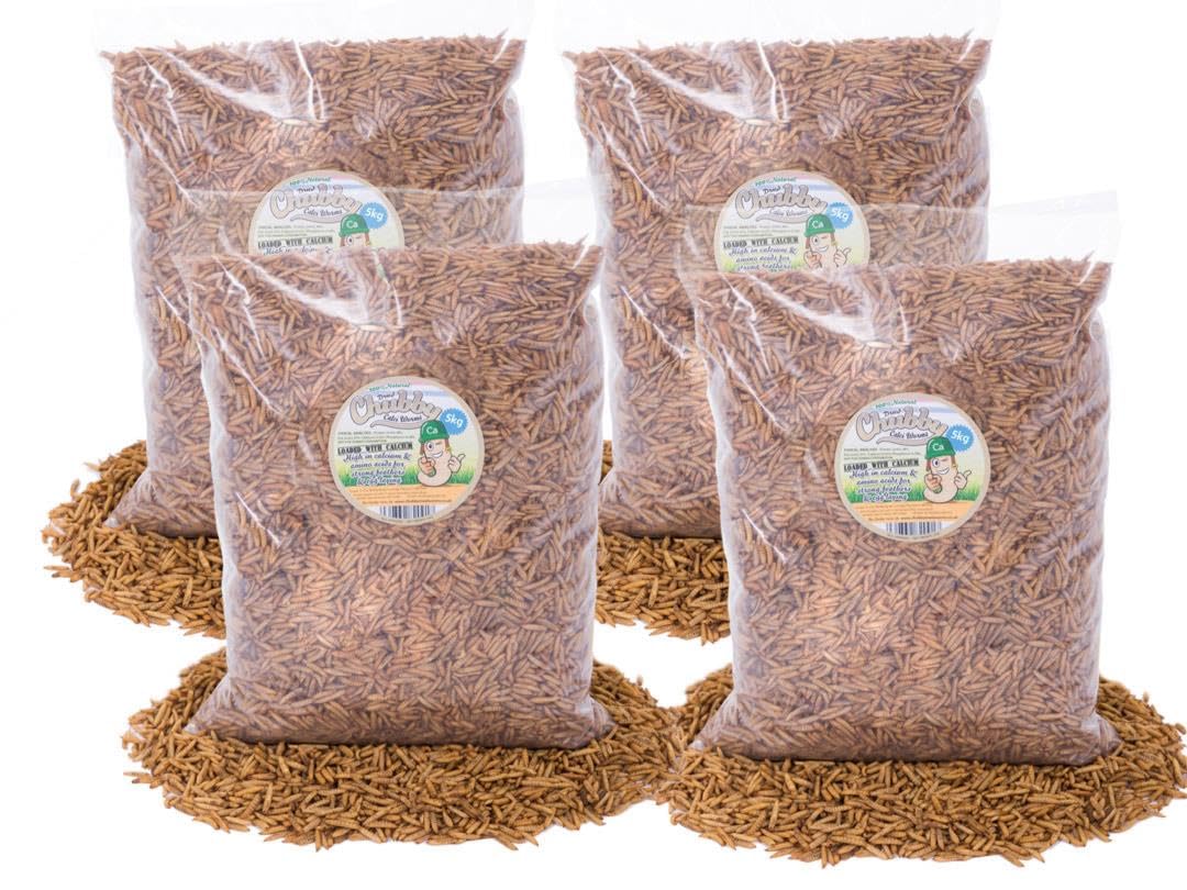 Chubby Dried Calciworms High Calcium Treat for Hedgehogs & Birds 20Kg — image 1