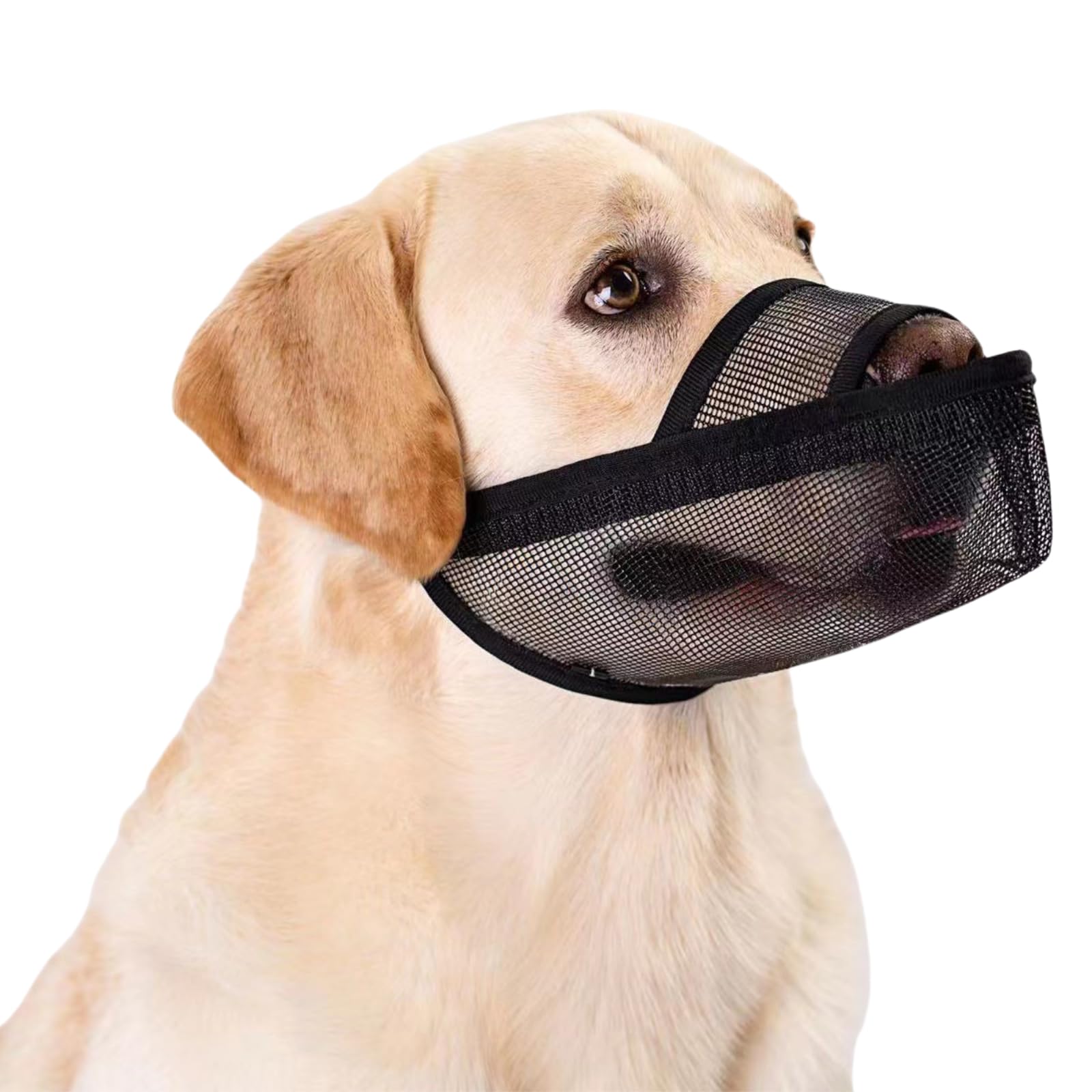 MUYYIKA Muzzle for Dogs, Soft Mesh Muzzle for Small, Nylon Mesh, Medium and Large Dogs, for Catching Biting, Licking and Chewing, Allows Panting and Drinking