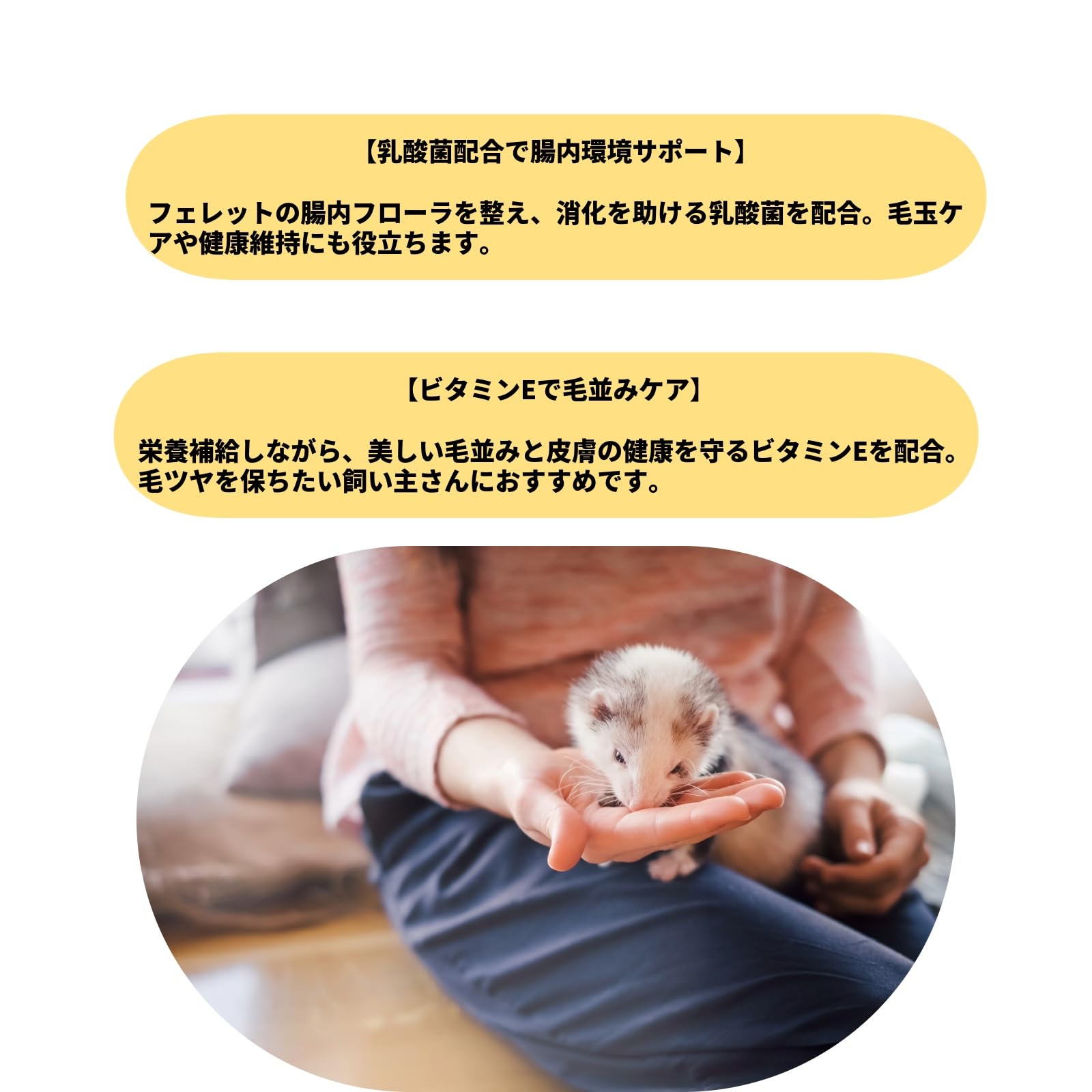 Amazon.co.jp: 三晃商会 フェレット ヘルシーバイト 【2個セット