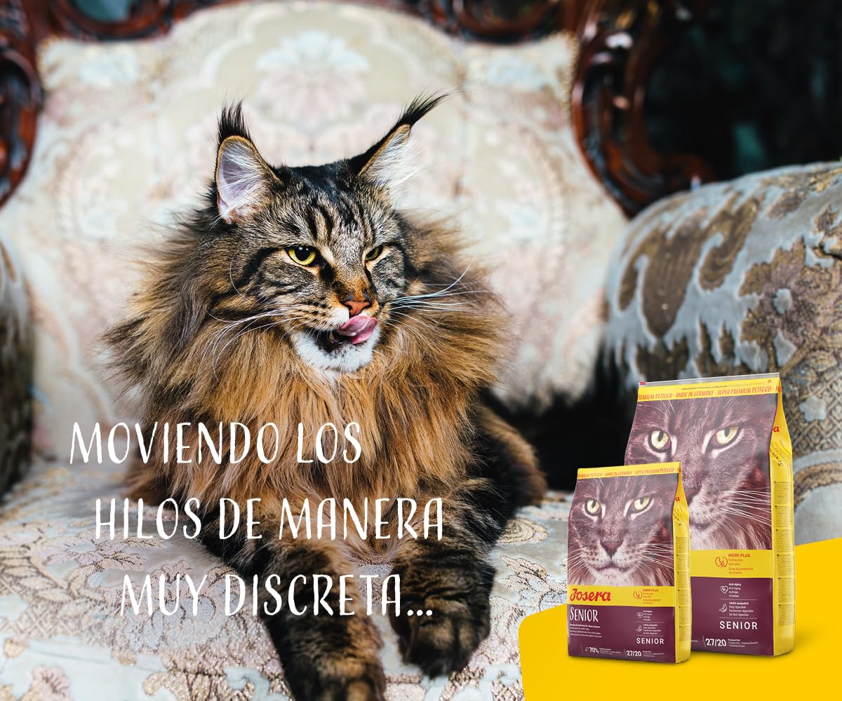 JOSERA Senior (1 x 10 kg) | Senior | Pienso seco Gatos Mayores o con insuficiencia renal | Aves y arroz | Fácil de digerir | Sin Cereales | Comida para Gatos | Pack 1