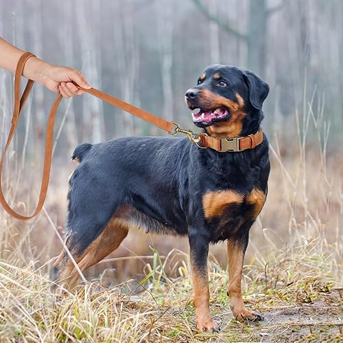 Miniatura 10 de Didog Collar de perro de cuero suave, duradero y resistente con hebilla de metal de liberación rápida, collar de perro rosa ajustable para perros
