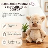 Ver la foto 6