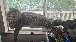 Review Image by QRelli QRelli