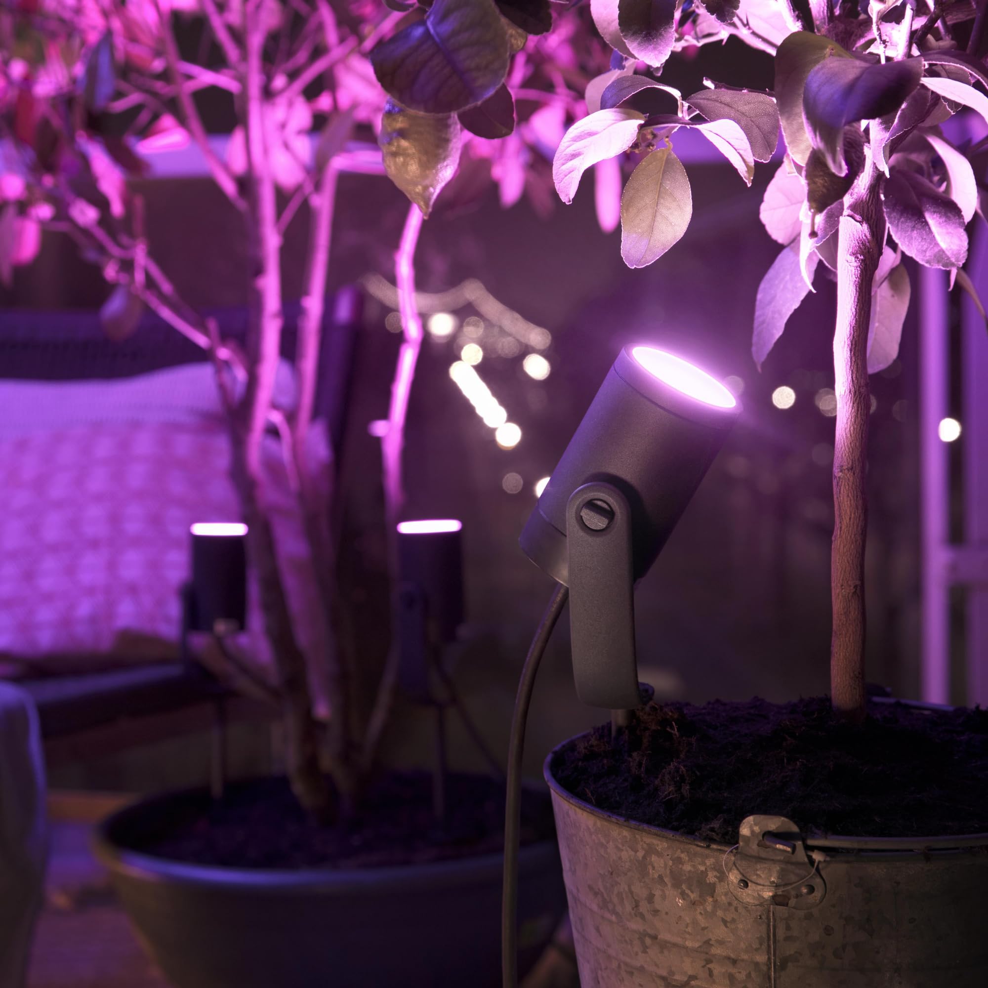 Philips Hue Lily Basis set mit 4 Gartenstrahler (Anthrazit) - Weißes und Farbiges Licht - inkl. 1 Stromkabel - Gartenbeleuchtung - Hue White and Color Ambiance