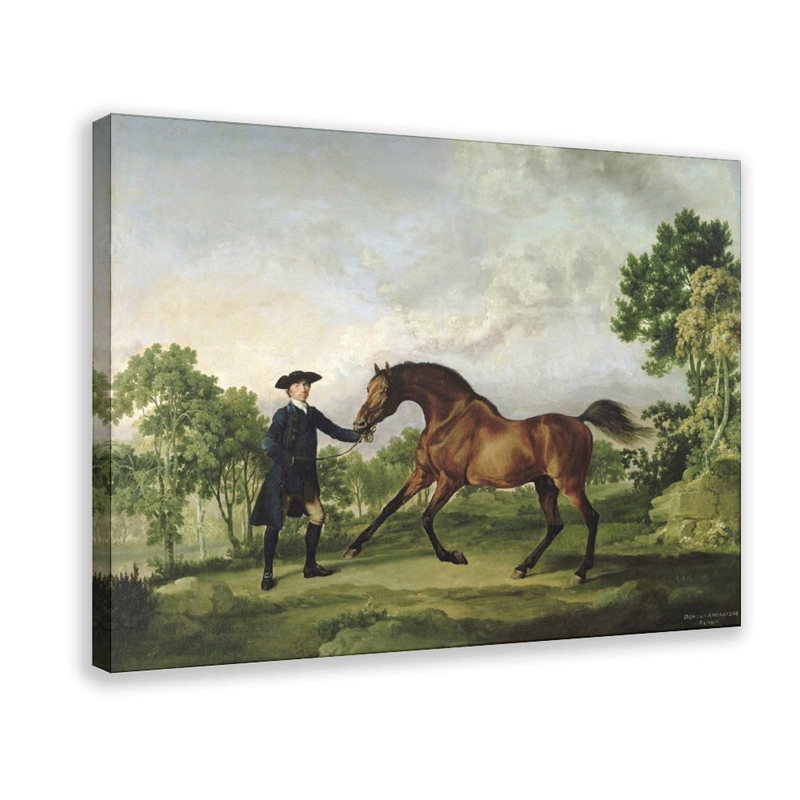DFJyjFGJJ George Stubbs,The Duke Of Ancasters Bay Stallion Blank, Held By A Groom Canvas Wall Art Print Poster For Home School Office Decor 20" L X 30" W