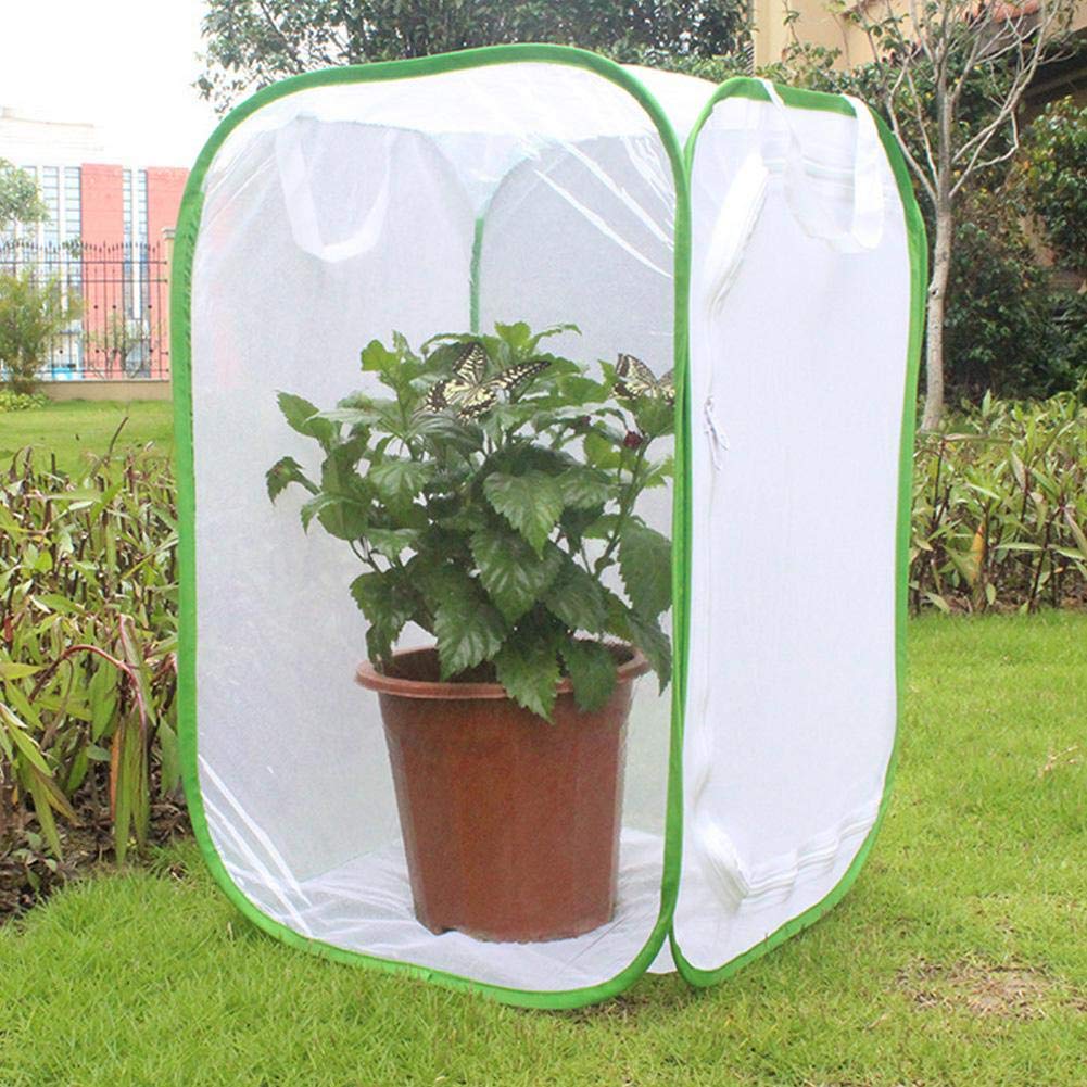 Gabbia Per Farfalle Pieghevole 40x40x60 Cm - Habitat Per Allevare Farfalle E Insetti - Rete Traspirante, Con Zip - Foto 8