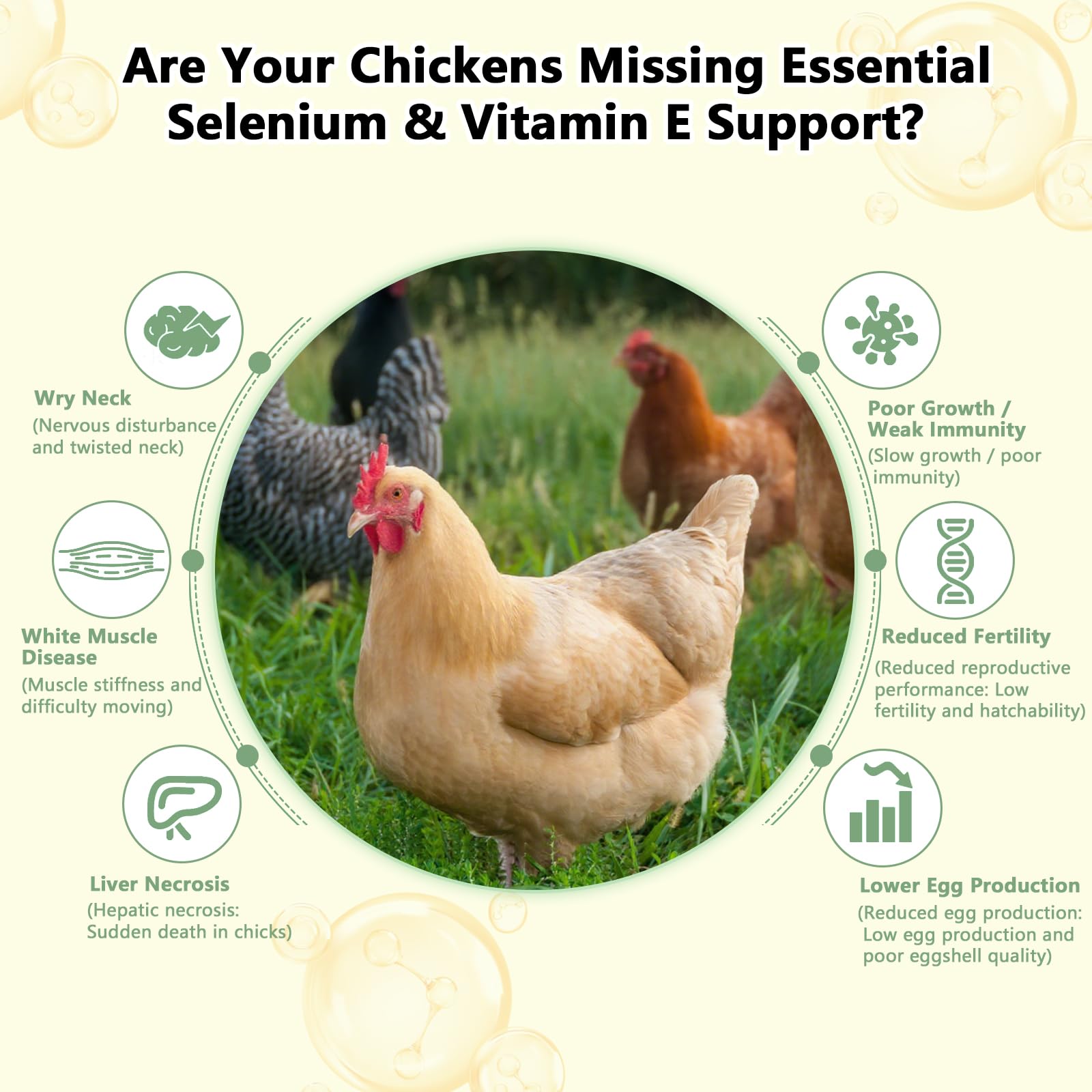 Selenium & Vitamin E Powder for Chickens, Selenium for Chickens, Immune System, Muscle Support & Prevents, Improve Wry Neck, Selenium, Vitamin E Supplements, Suitable for All Poultry — Amazon image 5