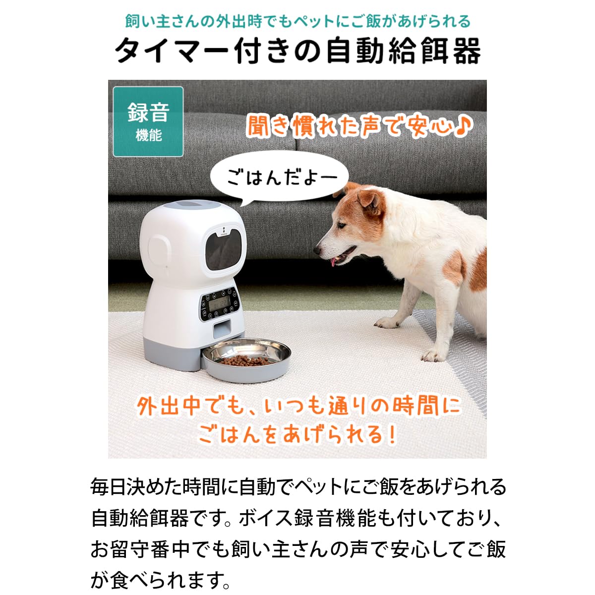 Amazon | ottostyle.jp オートペットフィーダー 自動給餌器 犬用 猫用