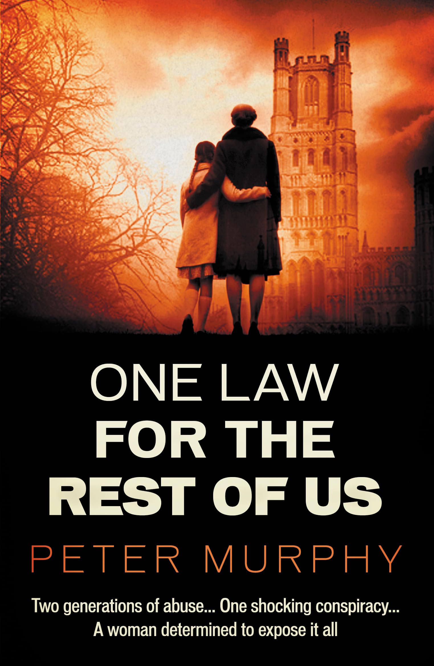 One Law For the Rest of Us (A Ben Schroeder Legal Thriller, 6)