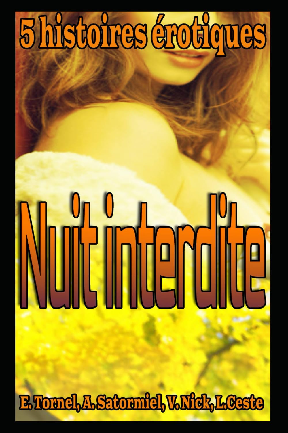 Nuit interdite: Compilation de 5 histoires érotiques tabous, livre en français, pour adultes, interdit aux moins de 18 ans