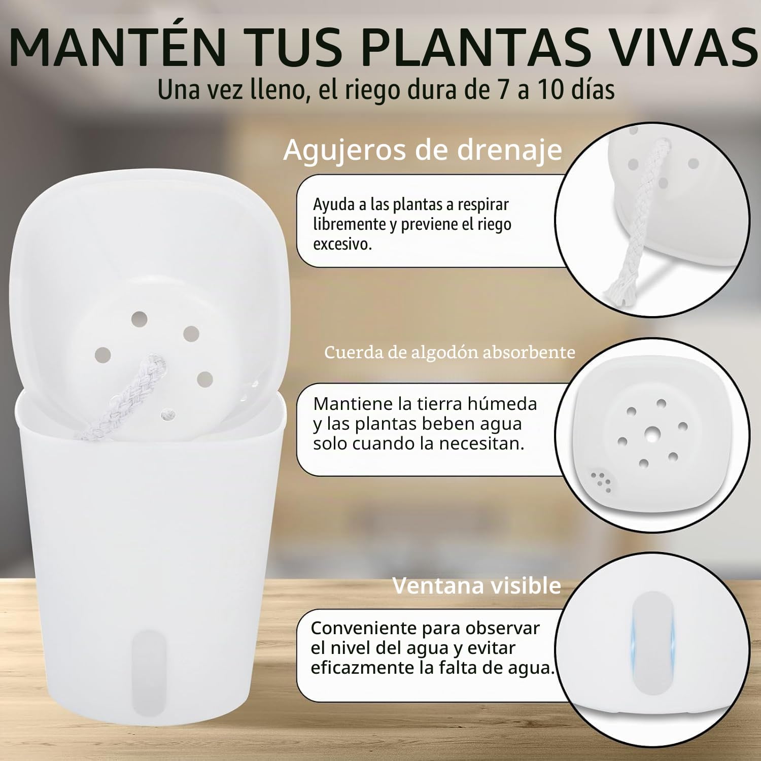 Maceta Plástico Autorriego, 10 Piezas Ronda Macetas con Ventana Nivel Agua, 9.5cm Maceteros Hierbas, Jardineras Decorativos para Interiores Exteriores