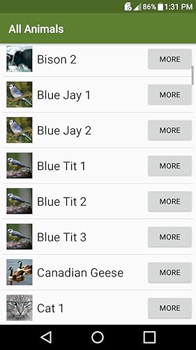 Chattering Critters Lite