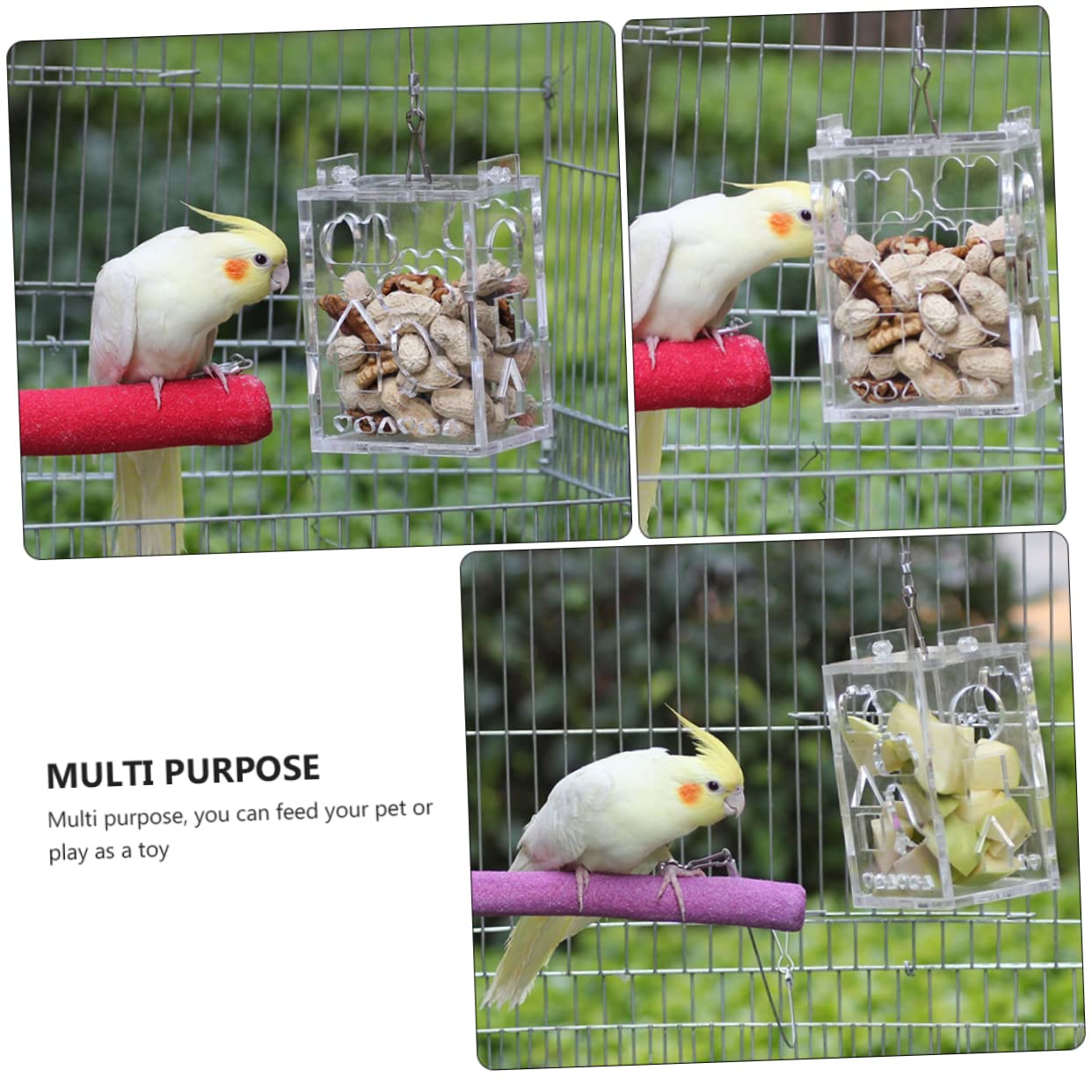 Sosoport 3pezzi Mangiatoia Per Uccelli Acrilico Gioco Intelligente Per Pappagalli e Piccoli Uccelli Foraging Toy Per Attività e Divertimento Resistente e Portatile