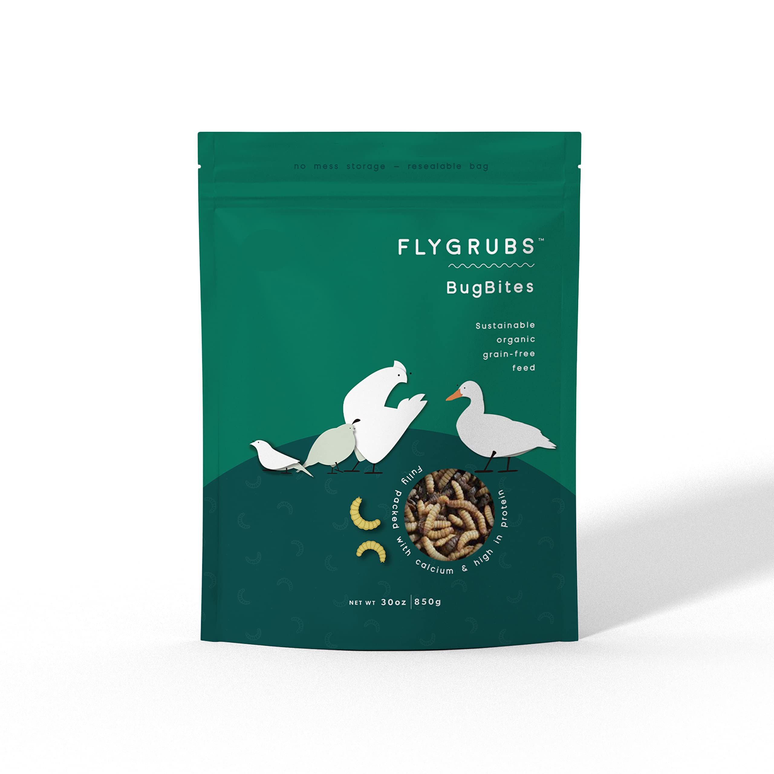 Buy Dried Meal Worms and Black Soldier Fly Larvae for Chickens