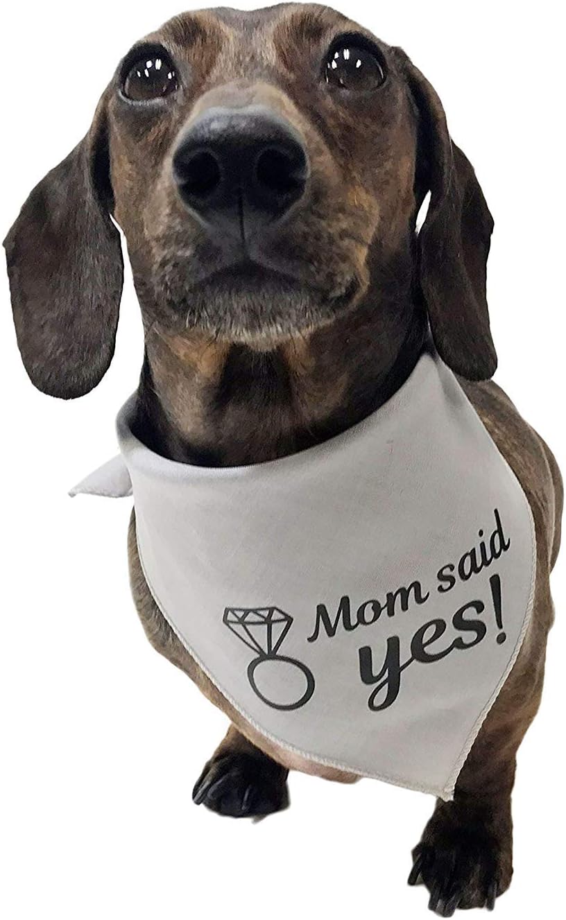 Midlee Mom Said Yes Dog Bandana Engagement Announcement