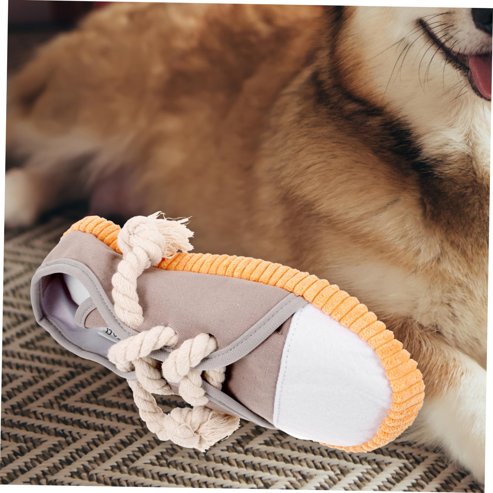 INOOMP Lot De 4 Jouets pour Chien Couineurs Et Froissés en Peluche Formes De Dessins Animés sans Danger pour Le Nettoyage des des Chiens