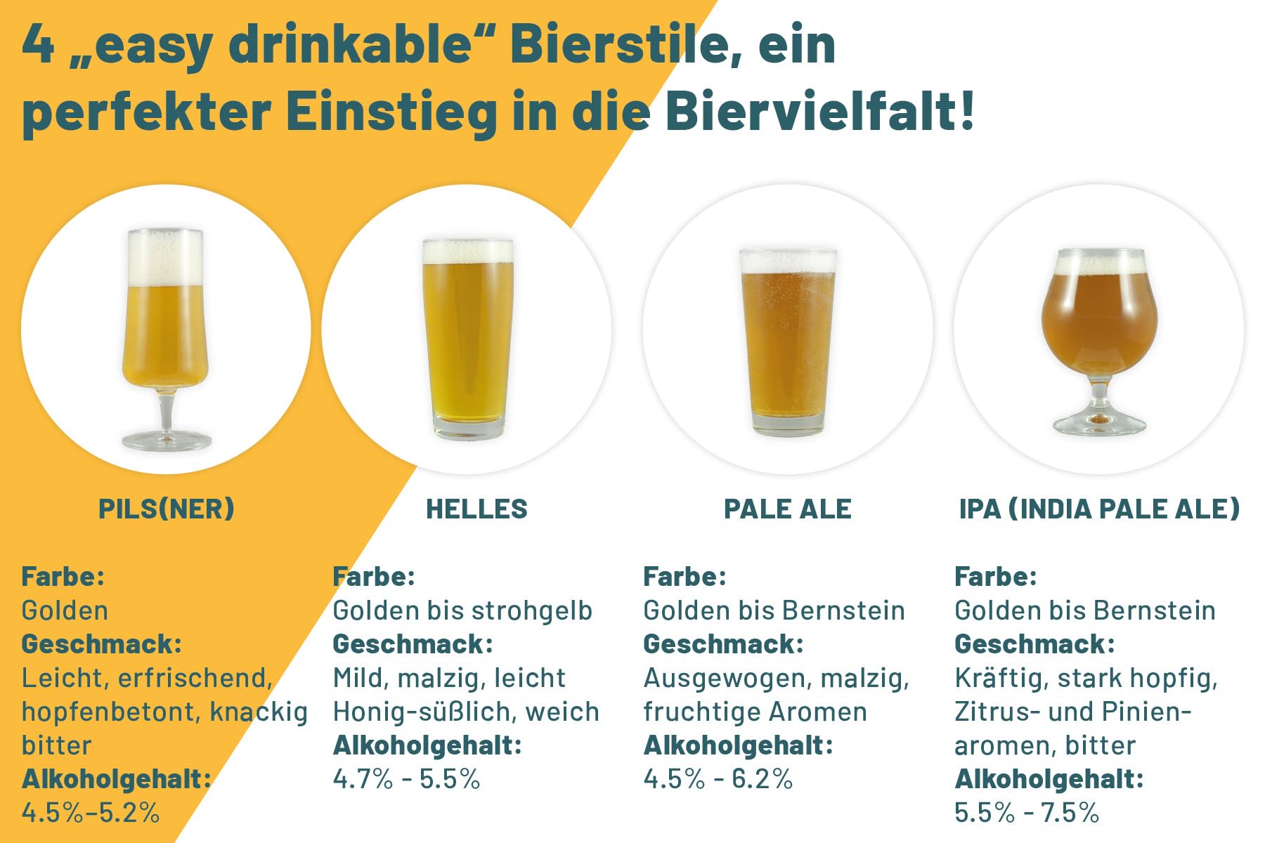 Deine Box voller Biere - Bierset mit 10 x 330ml national und international prämierten Craft Beer - Das perfekte Bier Geschenk für Männer und Frauen im liebevoll gestalteten Karton, Vatertagsgeschenk
