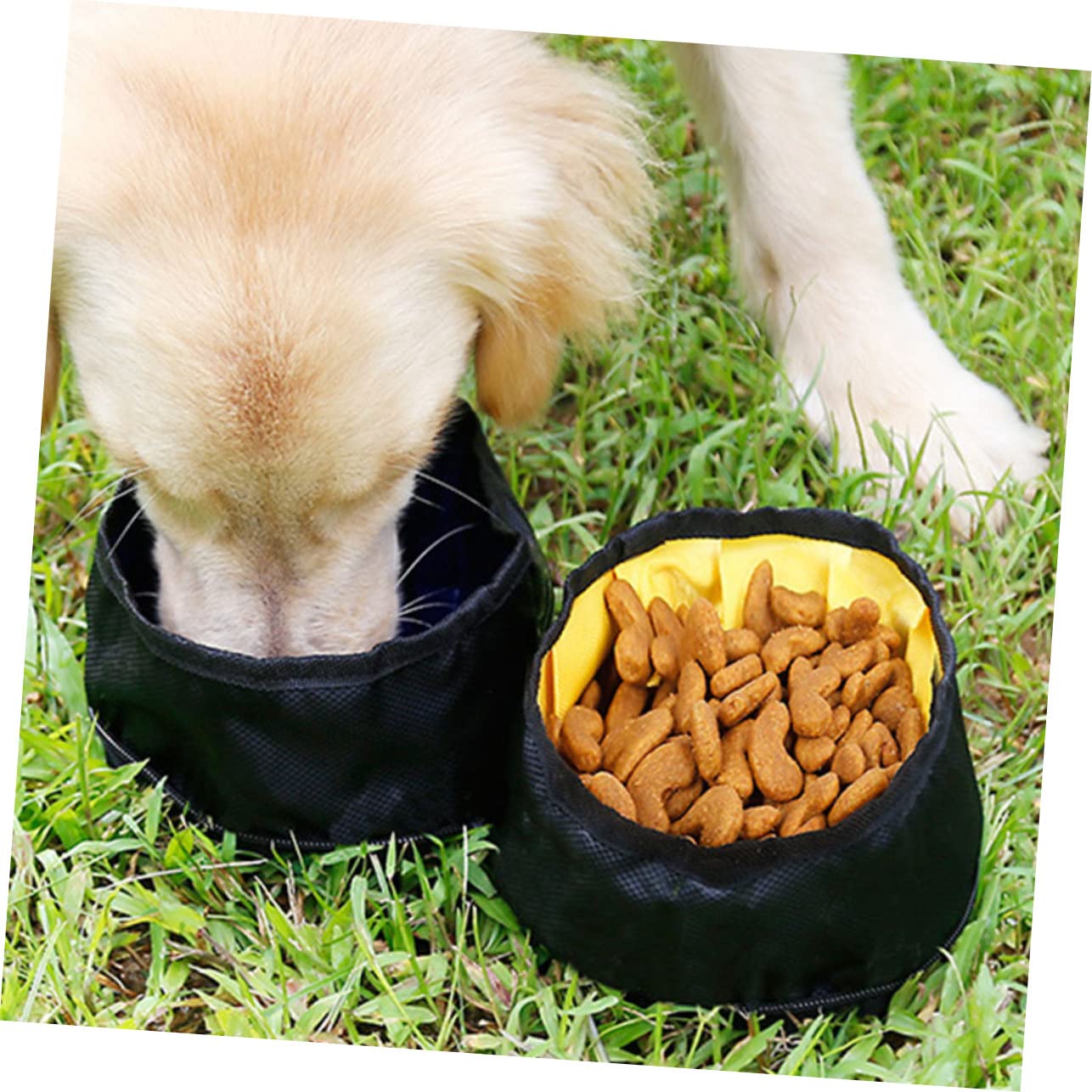 YARNOW 3 Pièces Gamelle pour Chat Bols Pliants Distributeur De Nourriture pour Animaux Costume De Gamelle Extérieure pour Fournitures pour Animaux Voyage Poche