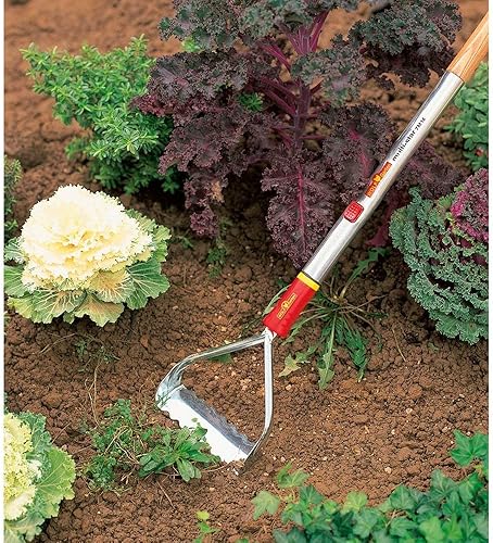 Miniatura 10 de Wolf-Garten Escardadora de empuje y tracción RFM 3226004