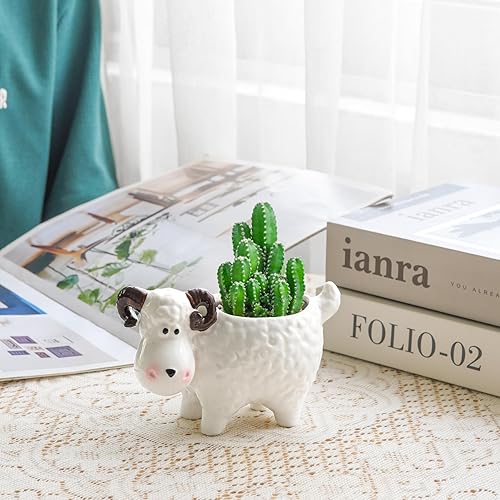 Miniatura 8 de Adorable maceta de cerámica para suculentas  Maceta de interior con drenaje  Contenedor de cerámica blanca para cactus  flores para decoración del