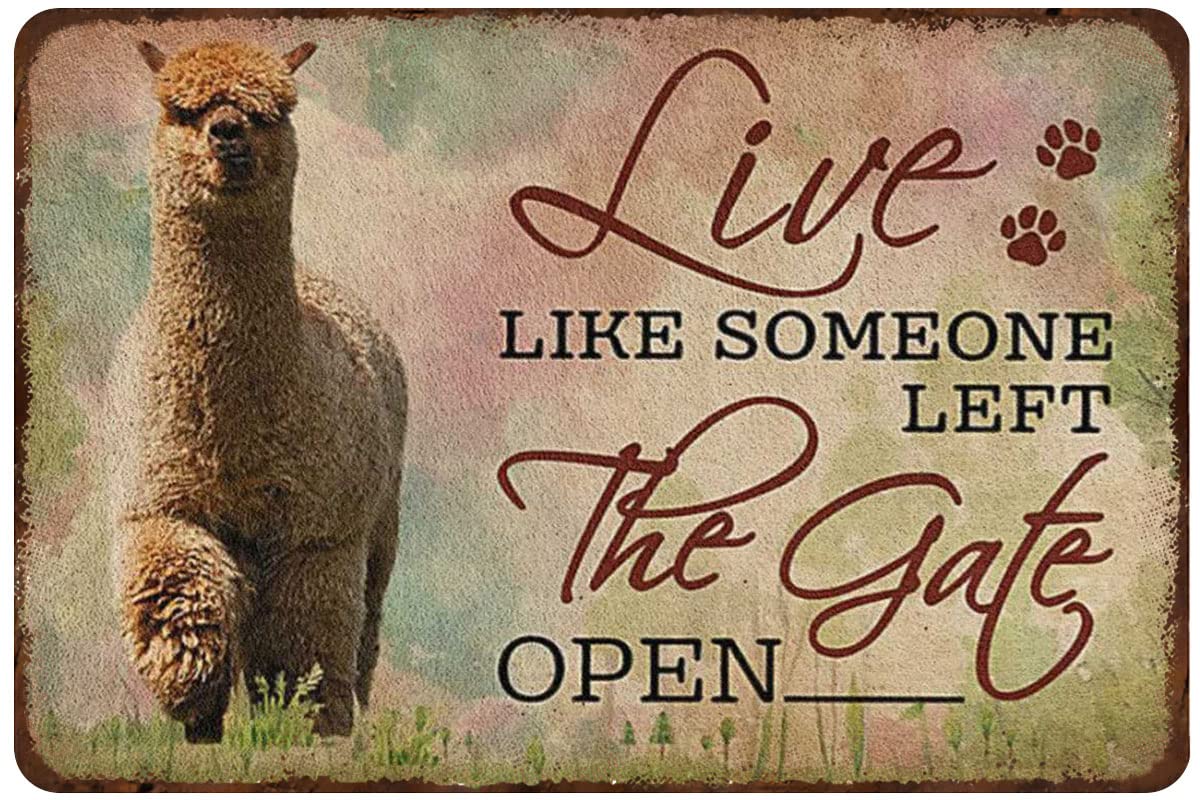 Retro Metal Tin Sign Alpaca Lover Alpaca Poster Live Like Someone Left The Gate Open Vintage Metal Tin Signs for Cafes Bars Pubs Shop Wall Decorative Funny Retro Signs for Men Women 8x12 Inch