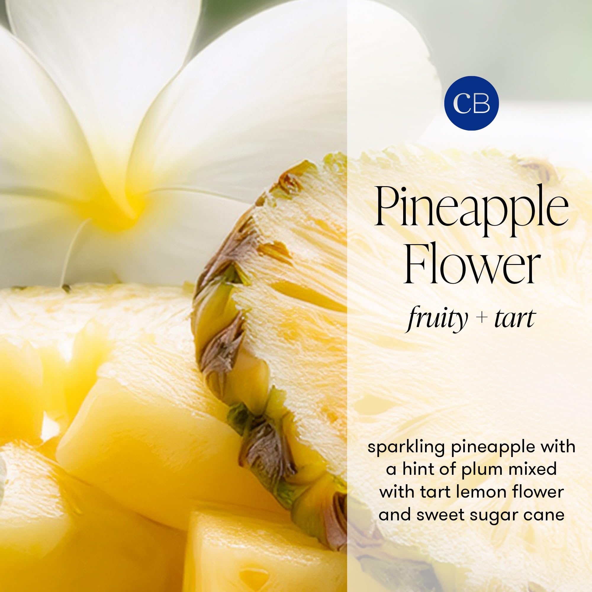 Capri Blue Świeca w kształcie kwiatu ananasa, sygnaturowa świeca w szklanym słoiku, trwałe świece, ananas, kwiat cytryny i trzcina cukrowa, dekoracyjne świece do dekoracji domu, 540 ml
