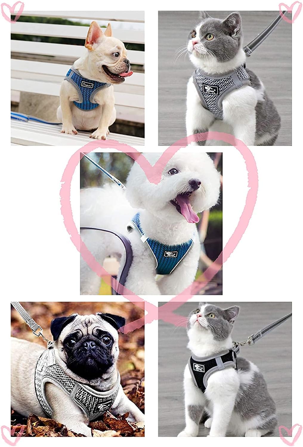 犬 ハーネス 柔らかい セット ハーネスリードセット 犬ハーネス おしゃれ ハーネス犬 中型犬 リード 夏 リード付き ミント