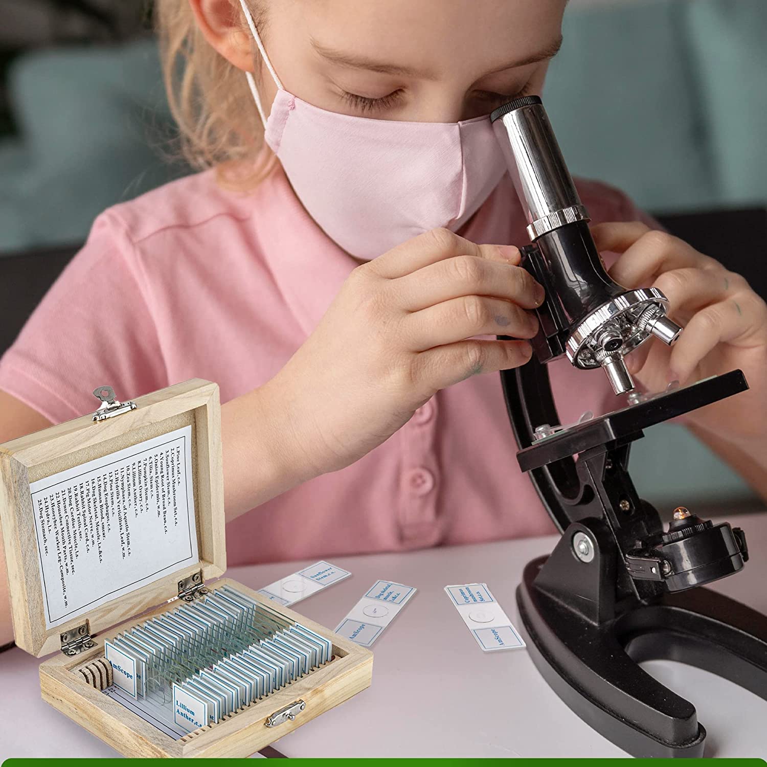 AmScope - 25pc Prepared Glass Microscope Slides in Wood Storage Case - Plant, Fungus, Insect and Mammal Specimens