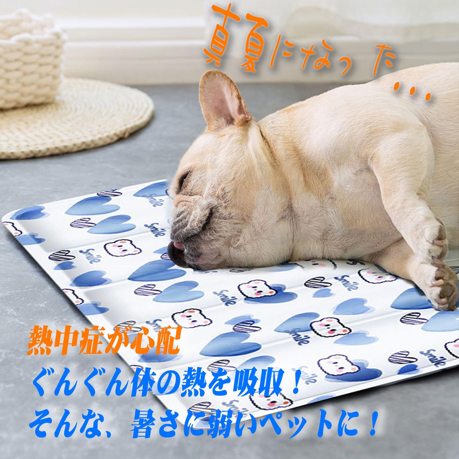 Amazon | 犬 ひんやりマット マット クッション クールマット 冷却
