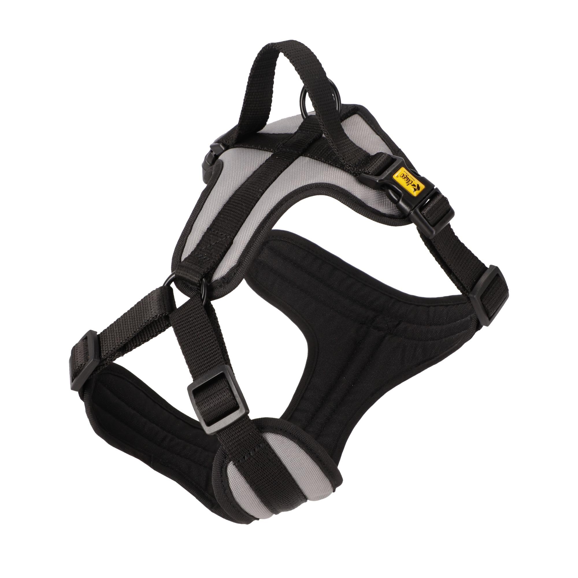 Dingo - Arnés para perros Active Aspen, color negro y gris, acolchado, ajustable, sin presión, con asa, clip frontal, arnés para perros XXS 14933