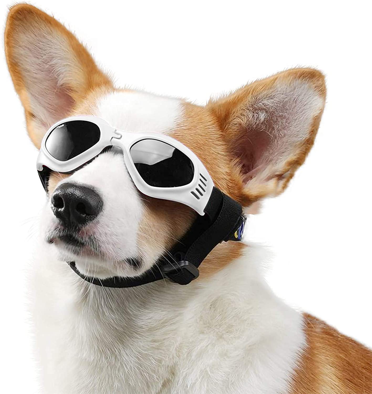 Hundebrille Schutzbrille - Anti-UV, Wasserdicht, Verstellbar Für Kleine Hunde