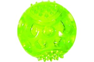 Chase and Chomp Dog Toy: Durable Nighttime Delight for Feisty Friends