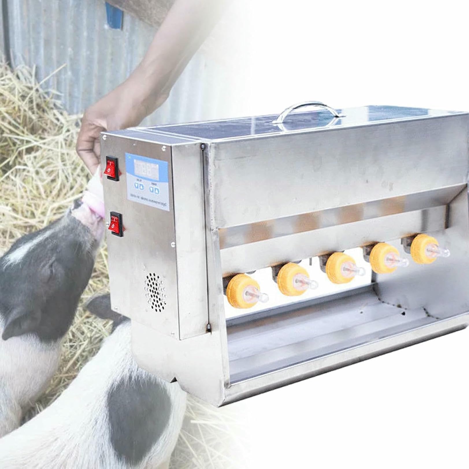 Mangiatoia per suinetti e agnelli, stazione di cura in acciaio inox con capezzolo 10/14, resistente e facile da pulire, ideale per allevamento e bestiame