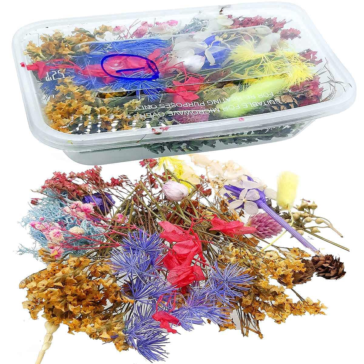 EKTA STATIONERY ? Dried Flowers for Resin Art (14 Designs) (Design May Vary)-image-41