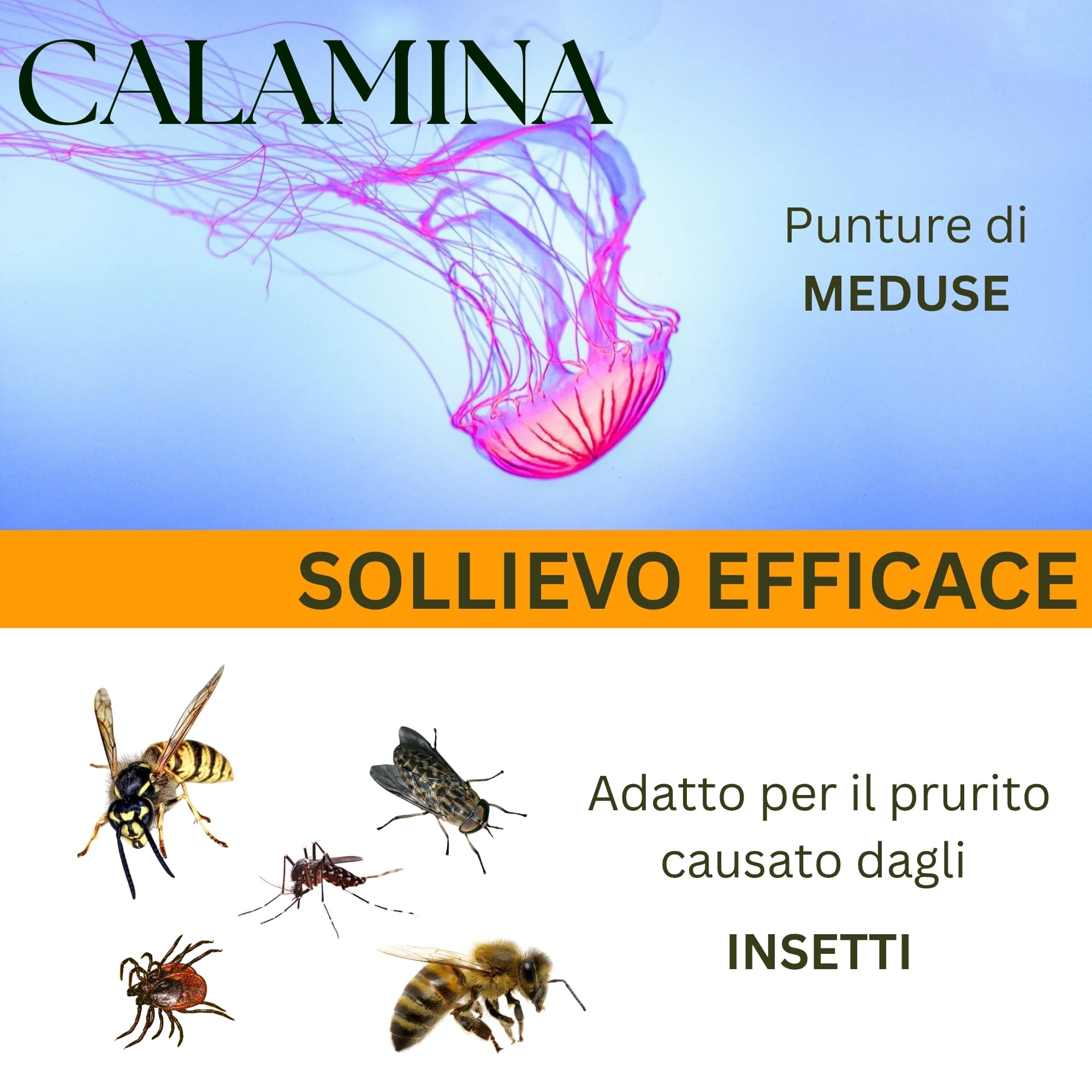 Kefus Crema Calamina con Dexpantenolo, Allantoina e Vitamina E. Astringente, assorbente e protettiva per la pelle. Previene e migliora le eruzioni cutanee, allevia le punture di insetti e meduse. 75 g