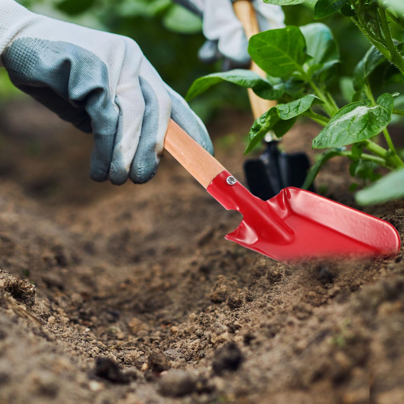 ibasenice Pala De Trasplante De Hierro para Jardinería Herramienta De Mano para Y Aflojar Tierra para Plantar Flores Y Plantas Jardín Patio Y Huertos 2 Piezas X 5