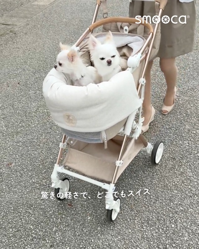 Amazon.co.jp: ペットパラダイス ペットカート 犬 バギー 小型犬 中型