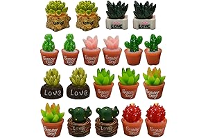 20 Adorable Miniature Succulents: Transforming Your Fairy Gardens