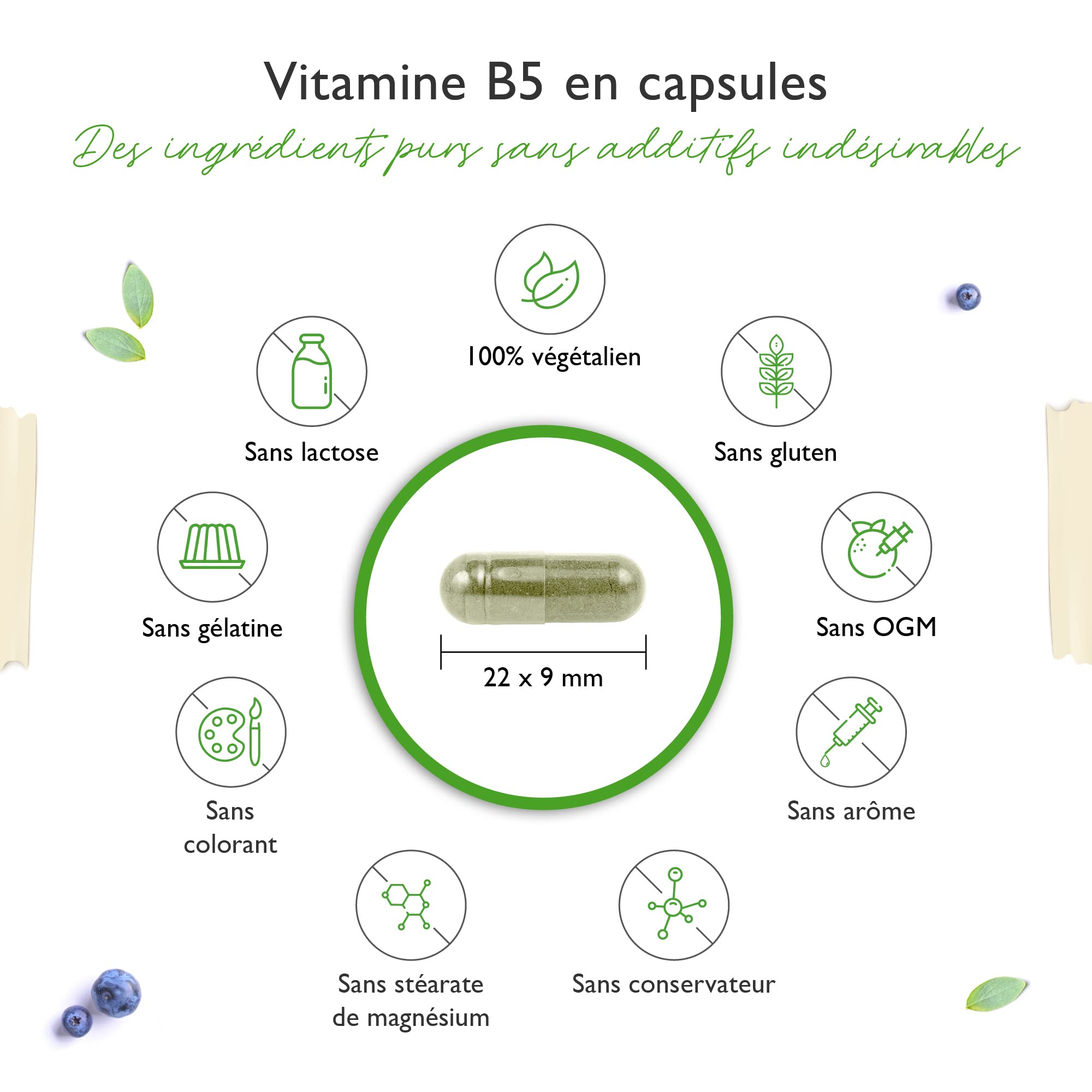 Vitamine B5 avec 500 mg - 180 Capsules - Acide pantothénique - Hautement dosé - Vegan - Vitamine B pour la peau et les nerfs