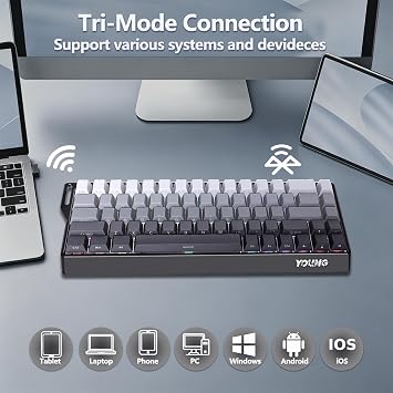 K68 Wireless Mechanical Keyboard, 65% compact layout, Bluetooth/2.4G/USB-C, Hot Swap, RGB Gaming Keyboard with Anti-Ghosting,Ergonomic,for Win/Mac (QWERTY-US) (black)