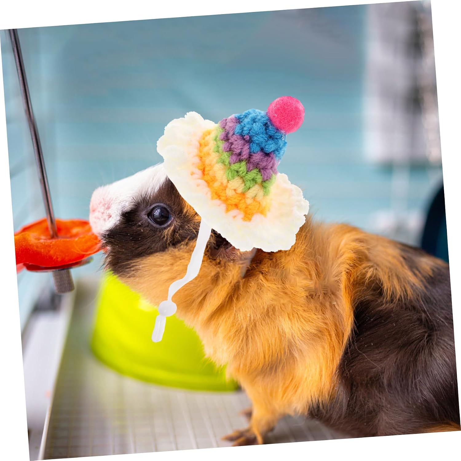 INOOMP Lightweight Knitted Hamster Hat for Small Pets for Birthdays and Costume Accessories Adorable Design for Chinchillas Guinea Pigs