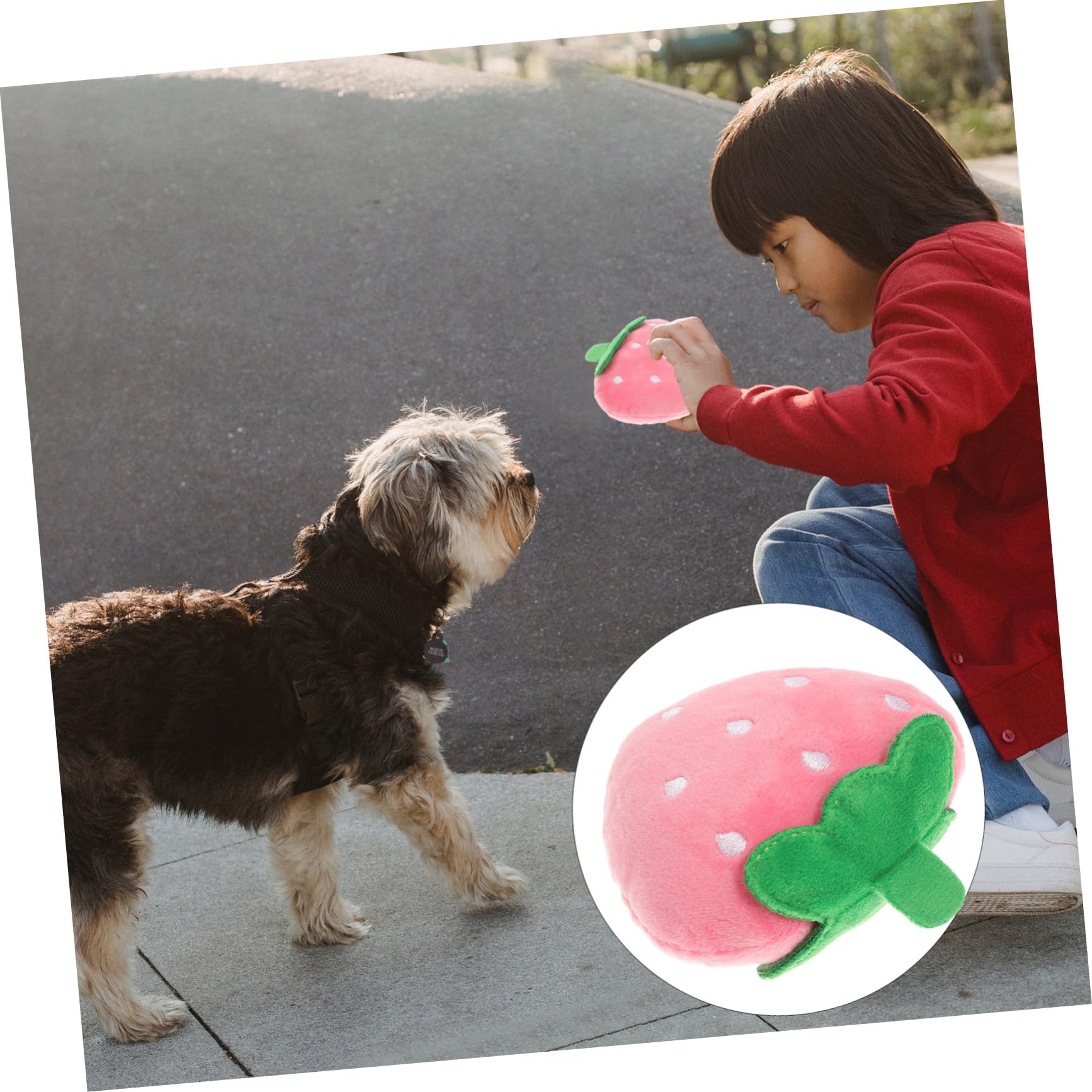 FOMIYES Jouet À Mâcher Couineur pour Chien Jouets pour Animaux De Compagnie pour Chiens Formation Matériau Sûr Jouet Interactif pour Chiot Jouets Sonores pour Animaux De Compagnie
