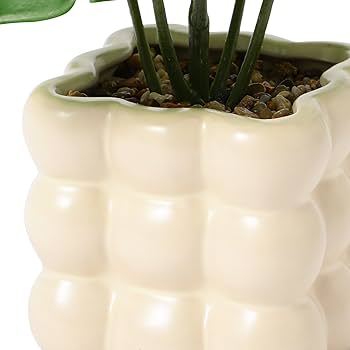 Amazon｜Francfranc フランフラン ポット付きアートグリーン