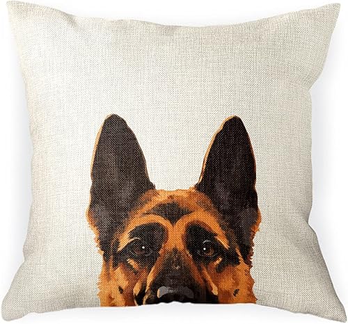 WIRESTER Funda de almohada decorativa para sofá, para oficina en casa, 18 x 18 pulgadas, color negro y marrón