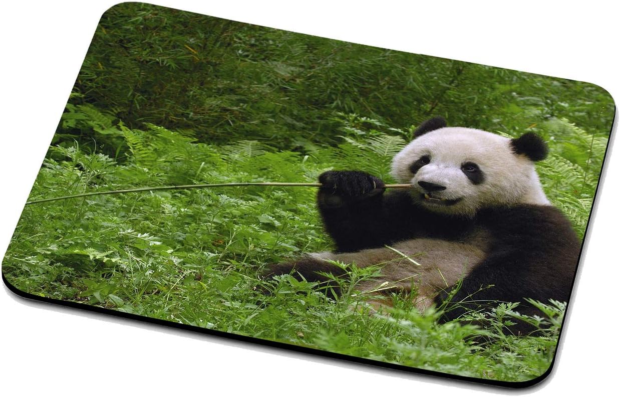 LAMS Panda Mouse Pad high Durability Mouse Pad Soft Mouse Pad -2187