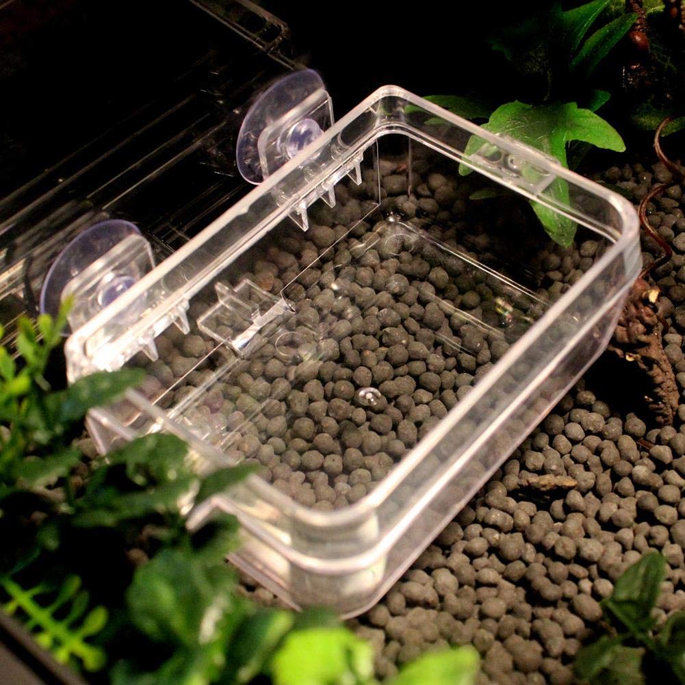 2 Stück Reptilien-Futterspender Mit Saugnapf – Ausbruchsicher, Für Futter & Wasser, Geeignet Für Geckos, Chamäleons & Bartagamen